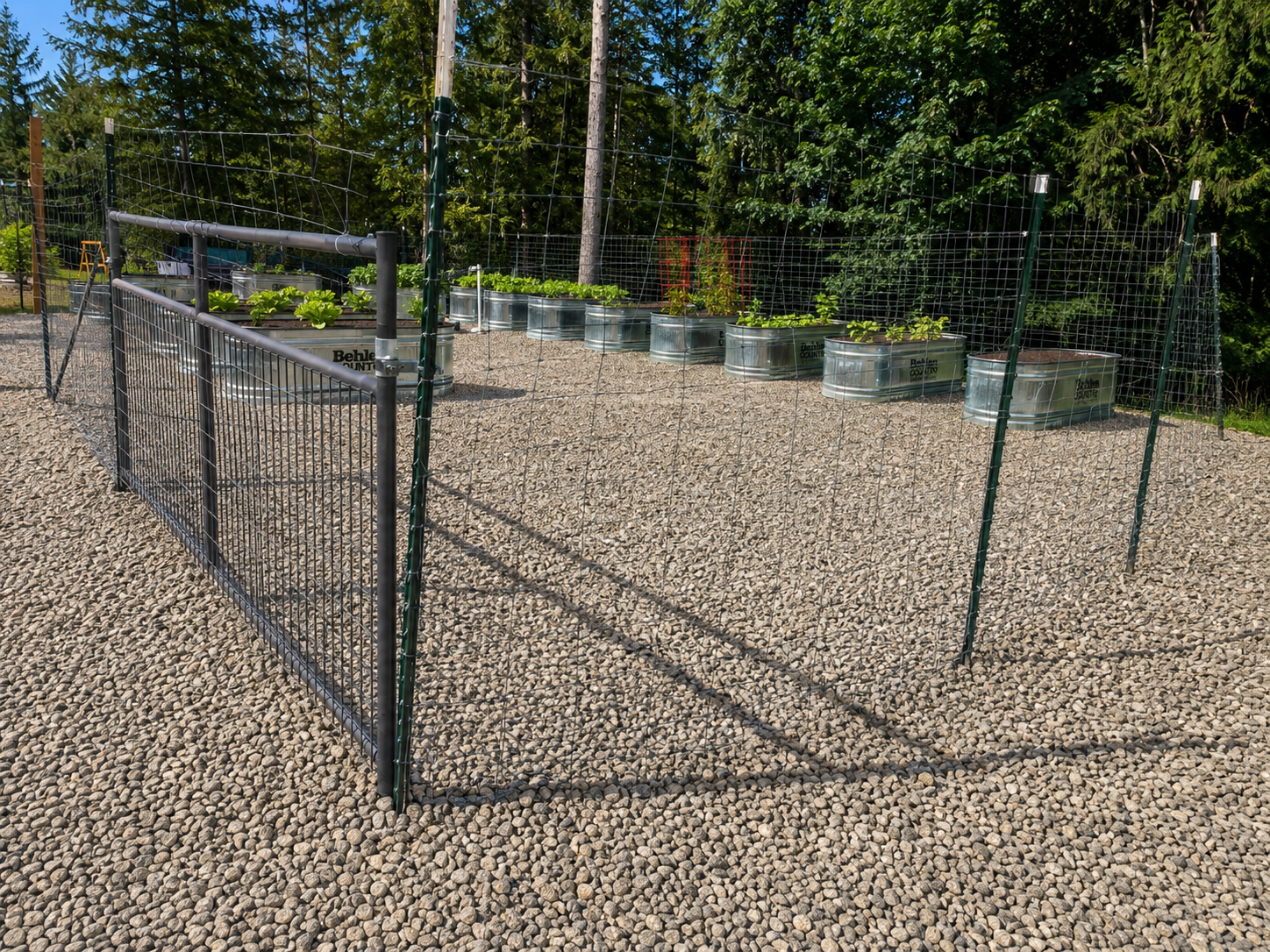 Gravel Garden and Fence