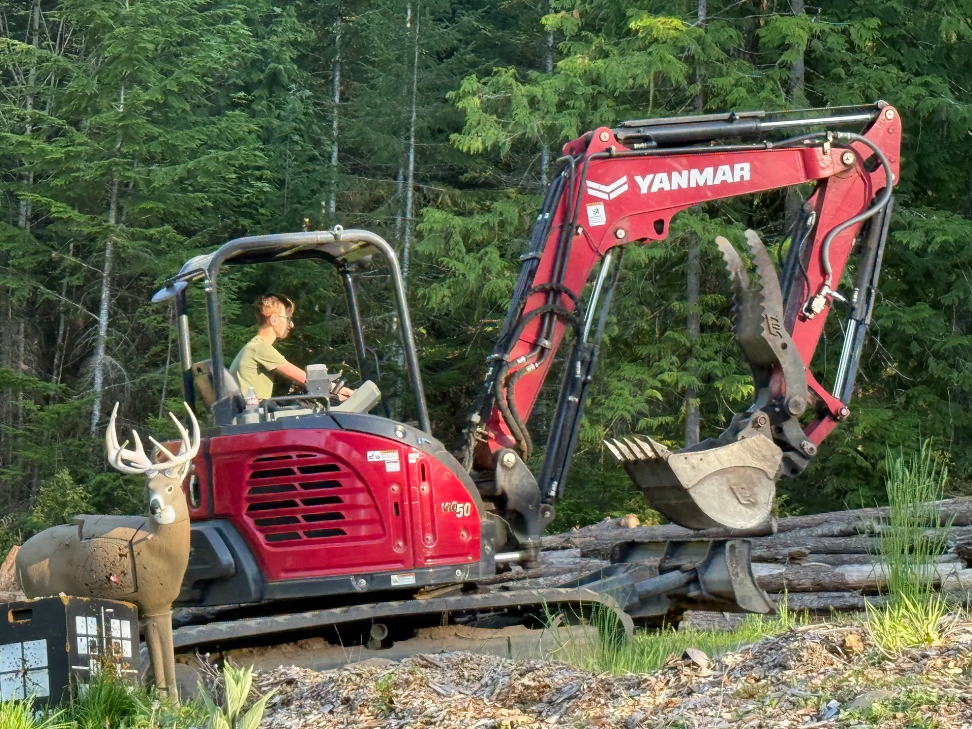 Owner and child in a compact excavator on a Western Washington property